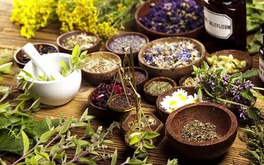 Herbs increase penis