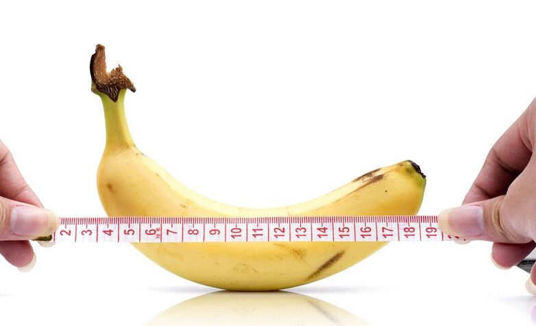 Effects of abstinence on penis length